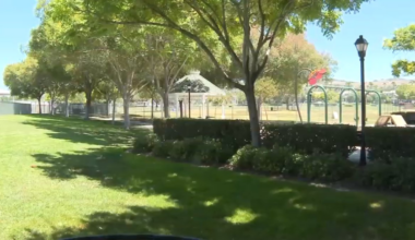 More child cancer cases in and around Ladera Ranch – NBC Los Angeles