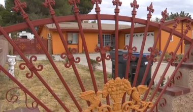 Dog shot, killed by deputy while attacking man in Lancaster yard – NBC Los Angeles