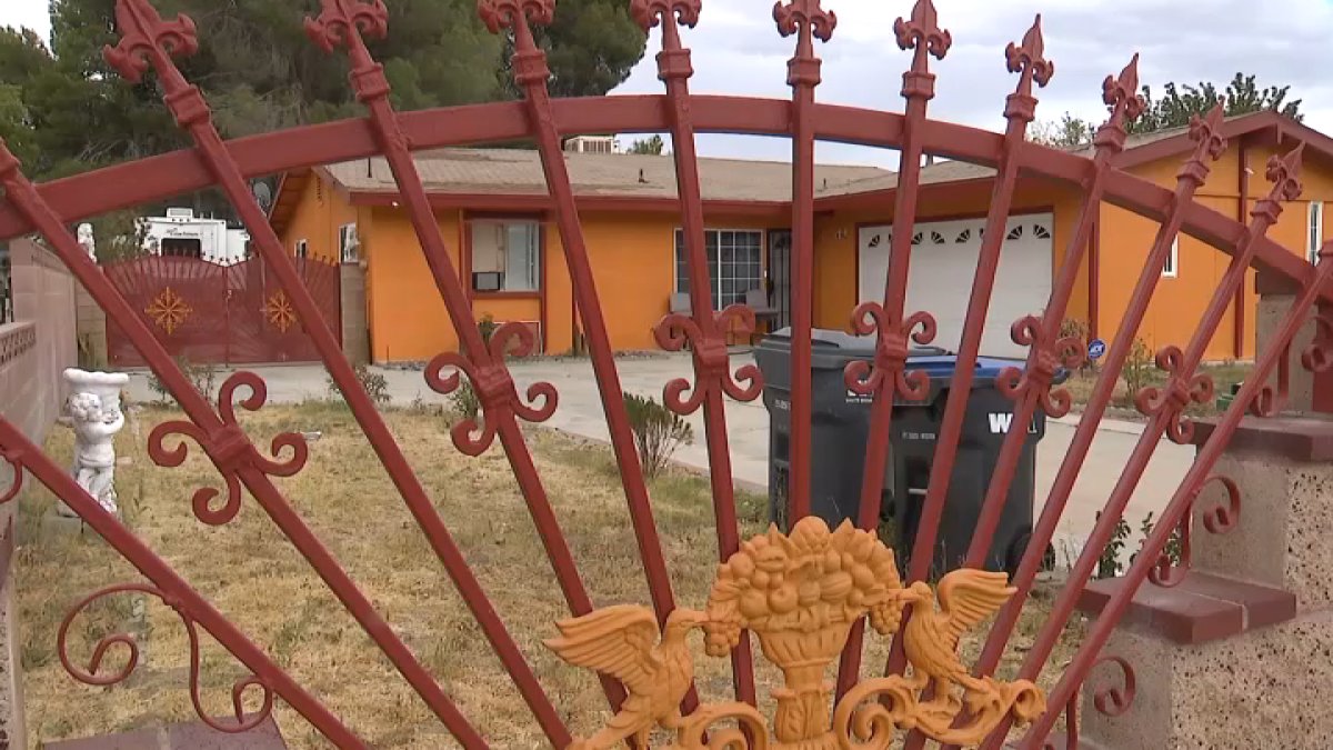 Dog shot, killed by deputy while attacking man in Lancaster yard – NBC Los Angeles