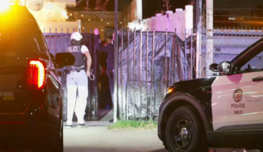 1 person arrested after LAPD finds underground casino in Winnetka – NBC Los Angeles