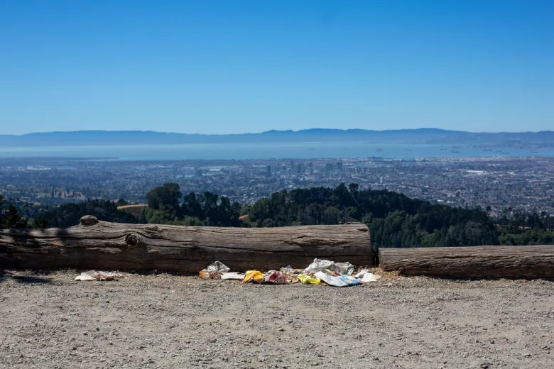 Trash in front of logs in front of city.