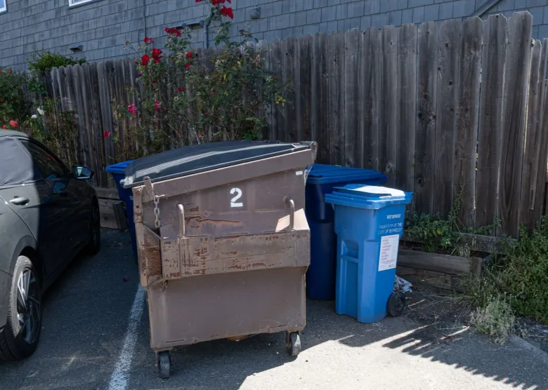 Large brown dumpster next to blue recycling bins.