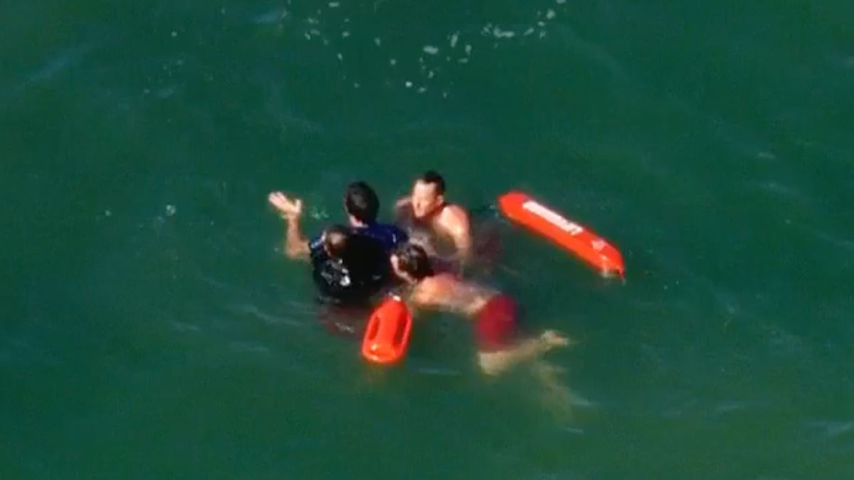 Lifeguards restrain suspect during dramatic ocean arrest