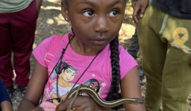 little-black-girl-with-braids-holds-snake-, Trap Nature: Oakland edition, Culture Currents Featured