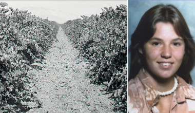 Girl buried beneath vineyard identified after 48 years as cops hunt killer