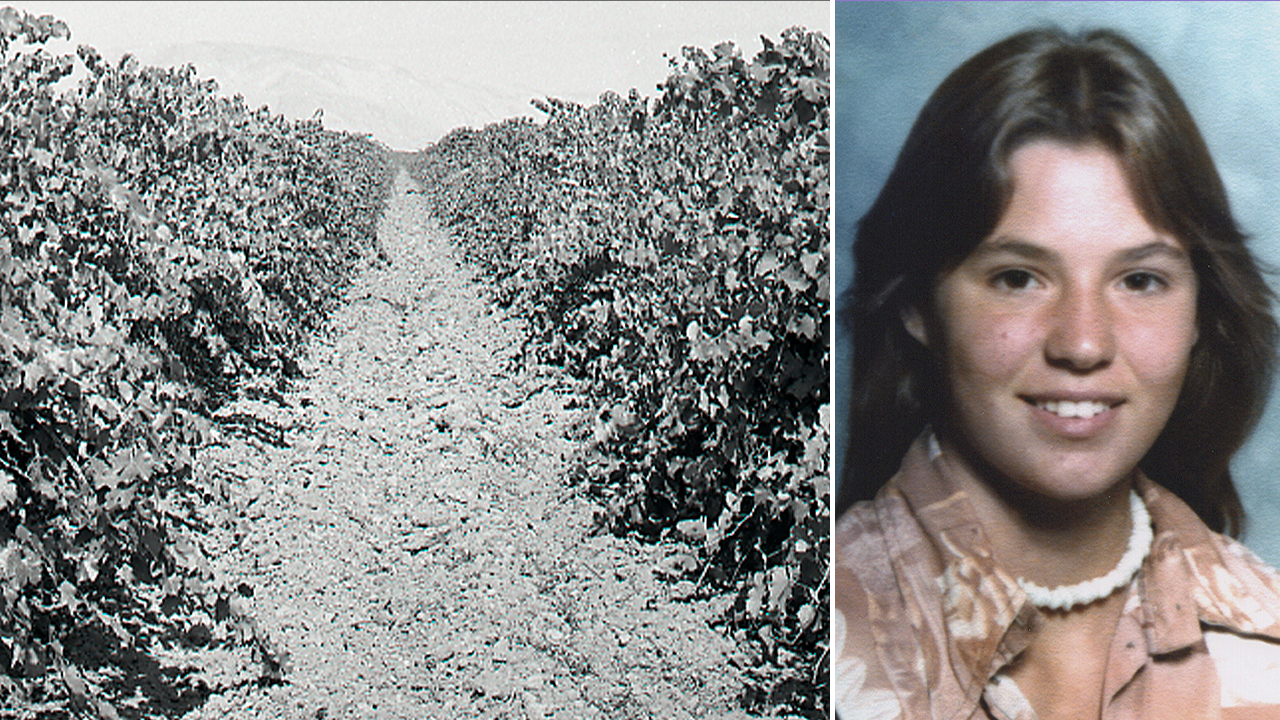 Girl buried beneath vineyard identified after 48 years as cops hunt killer