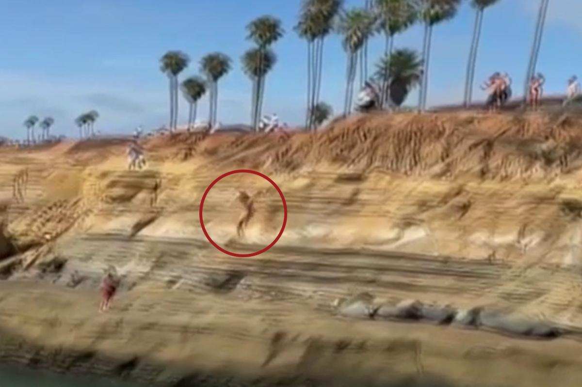 Teen illegally jumps off San Diego cliffs, everything goes wrong