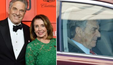 Pelosi family breaks silence on Napa Valley hit-and run crash