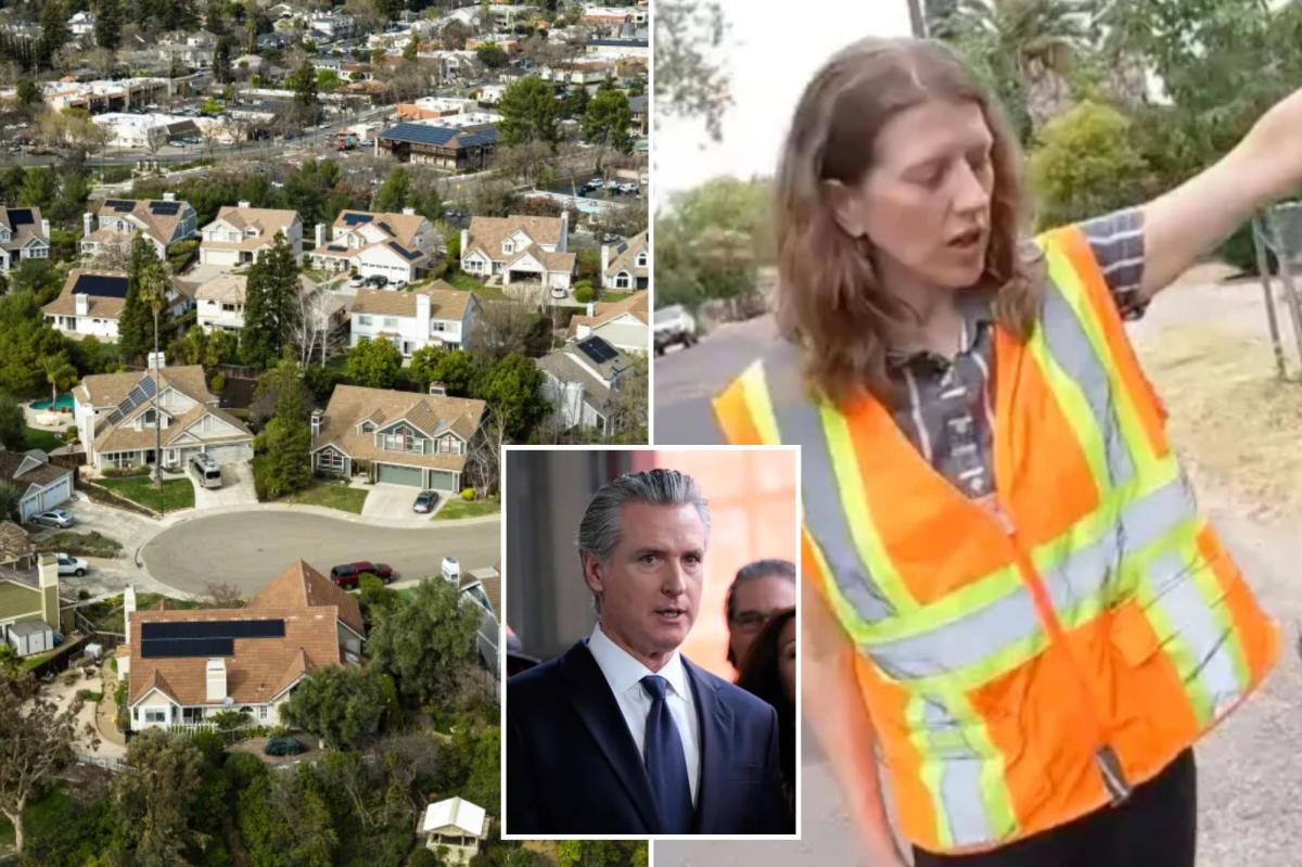 Sacramento deploys trash spies to snoop on homeowners so they comply with Newsom vision