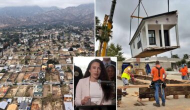 Altadena fire survivors score two wins in rebuild effort