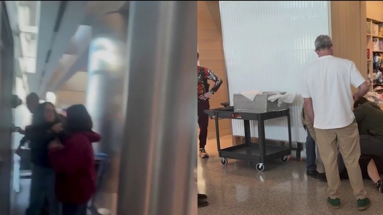 VIDEO: Two Bay Area women detained by ICE at airports
