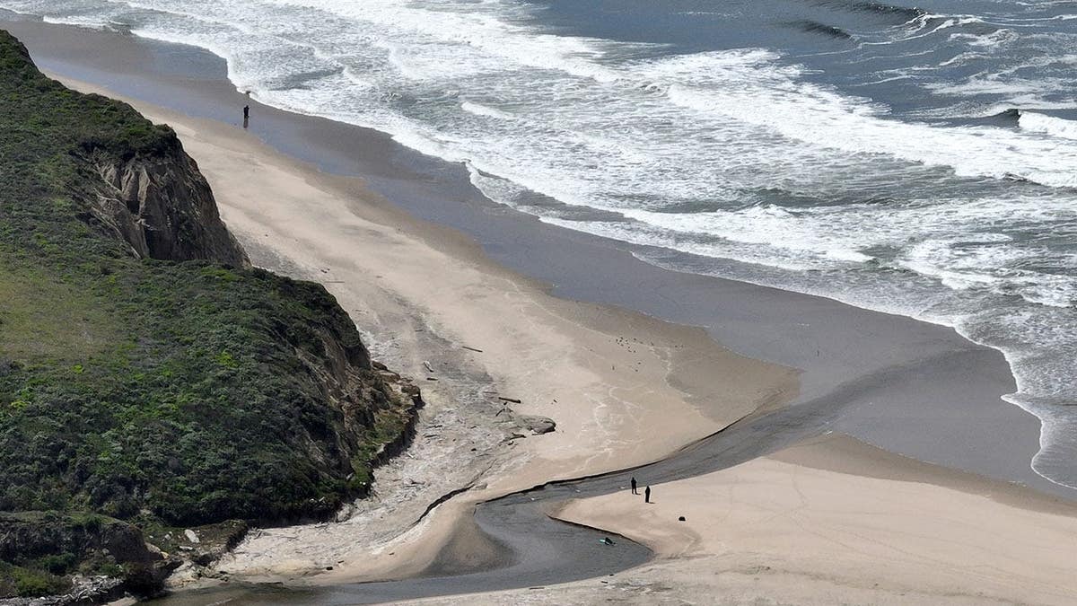 San Gregorio State Beach shoreline seen from above.