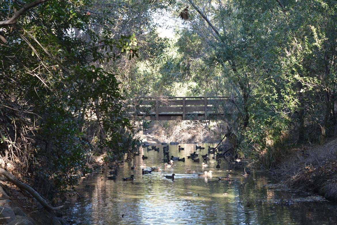 Oak Canyon