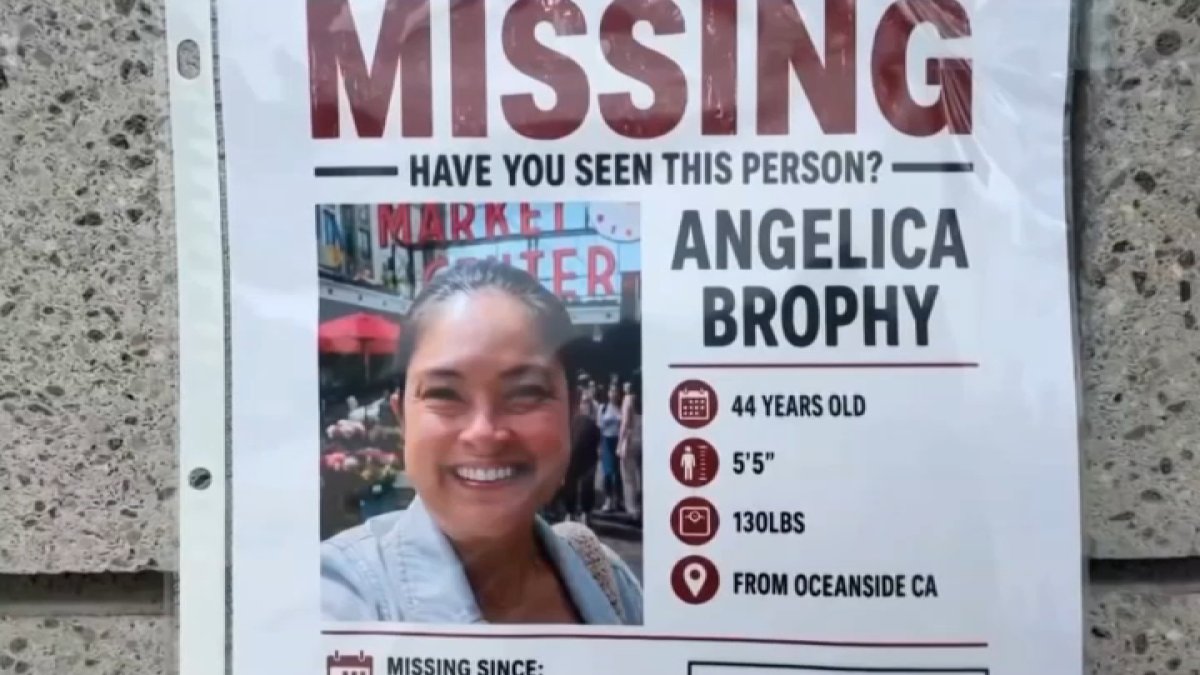 Timeline of investigation into Oceanside mother’s disappearance – NBC 7 San Diego
