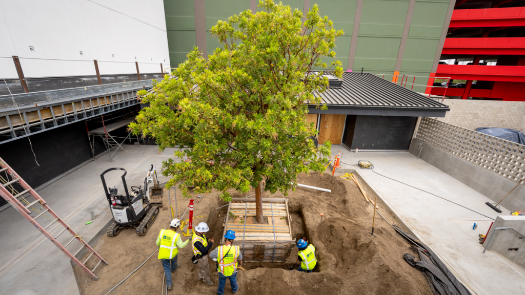 OCVibe Anaheim hard hat tour