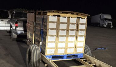 California ag detectives recover 2,000 pounds of stolen peaches, sheriff says