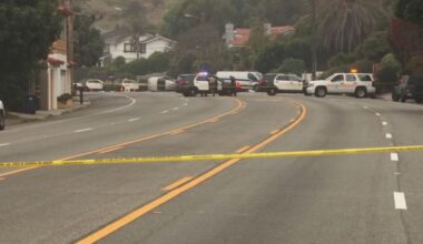 Driver in PCH crash that killed 4 Pepperdine students faces pre-trial hearing – NBC Los Angeles