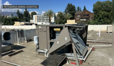 Thieves steal copper wiring at Pasadena animal hospital – NBC Los Angeles