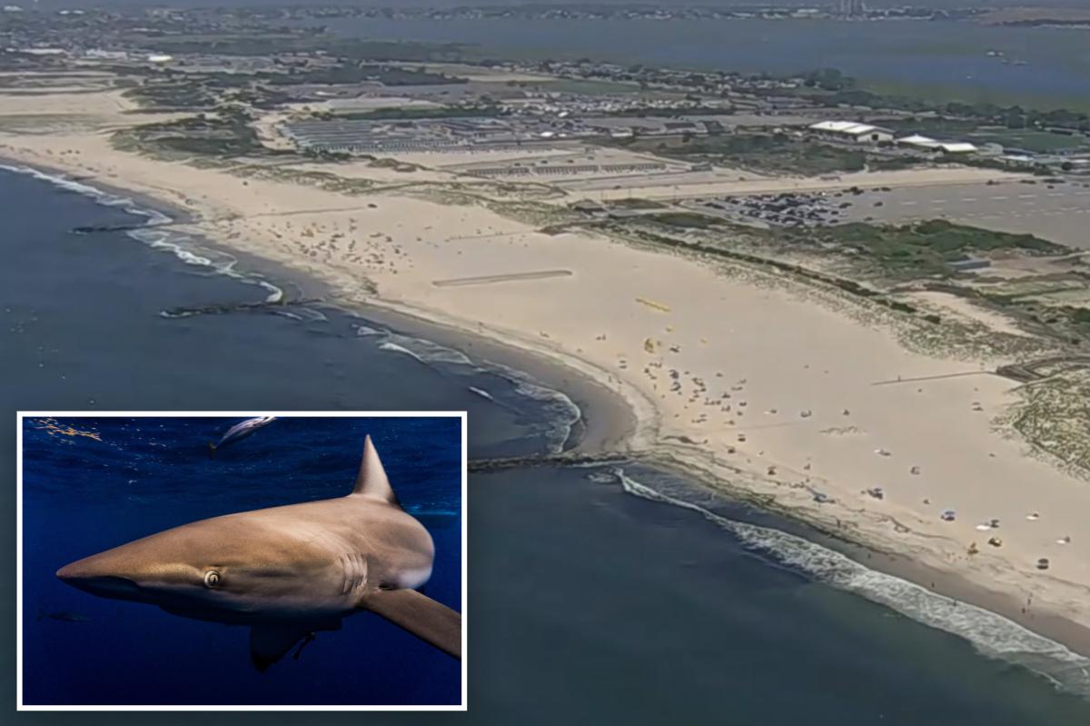 Shark spotted by Long Island swimmers closes beaches on 90-degree day