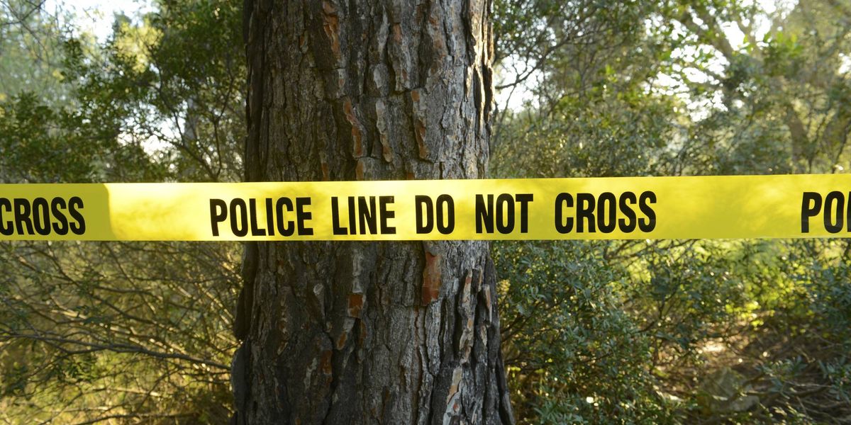 Decaying human remains discovered in woods on Oakland County Circuit Court property