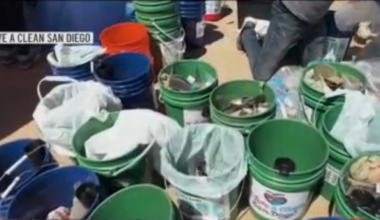 Fourth of July ‘morning after mess’ on Fiesta Island cleaned up by volunteers – NBC 7 San Diego
