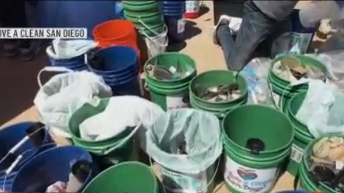 Fourth of July ‘morning after mess’ on Fiesta Island cleaned up by volunteers – NBC 7 San Diego