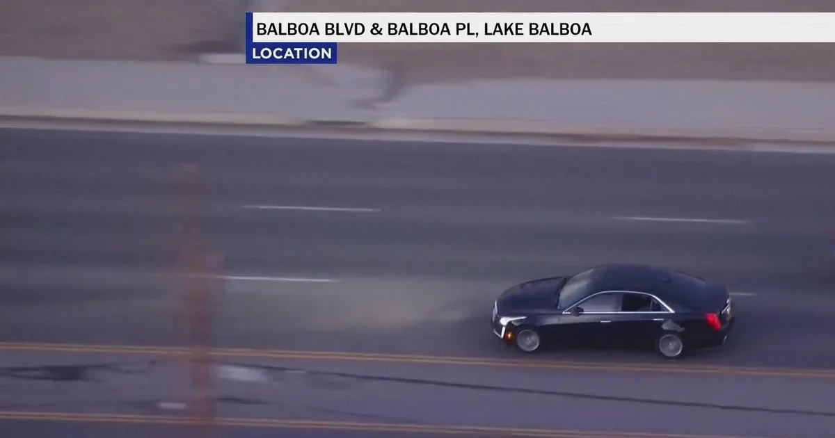 Los Angeles police apprehend 4 suspects after reckless driver pursuit