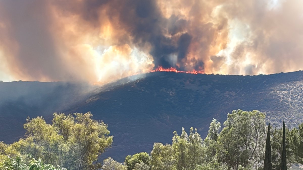 Ramona brush fire prompts evacuation orders – NBC 7 San Diego