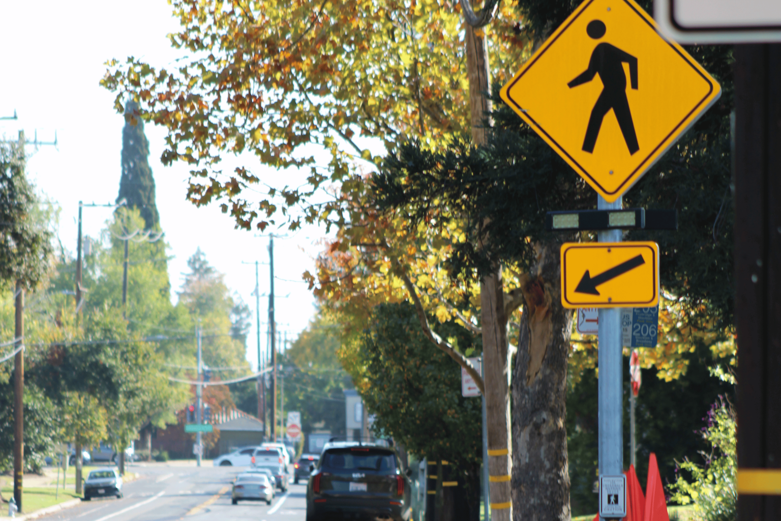 Sacramento Police issue 31 citations during four-hour pedestrian safety operation