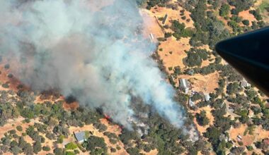 North Auburn vegetation fire prompts evacuations before crews stop spread