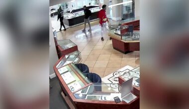 Sacramento County jewelry theft suspect arrested hours after release on same charges