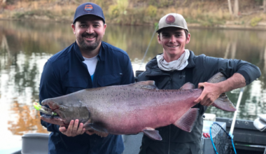 Salmon Fishing Is Back on the Sacramento River After Three Years