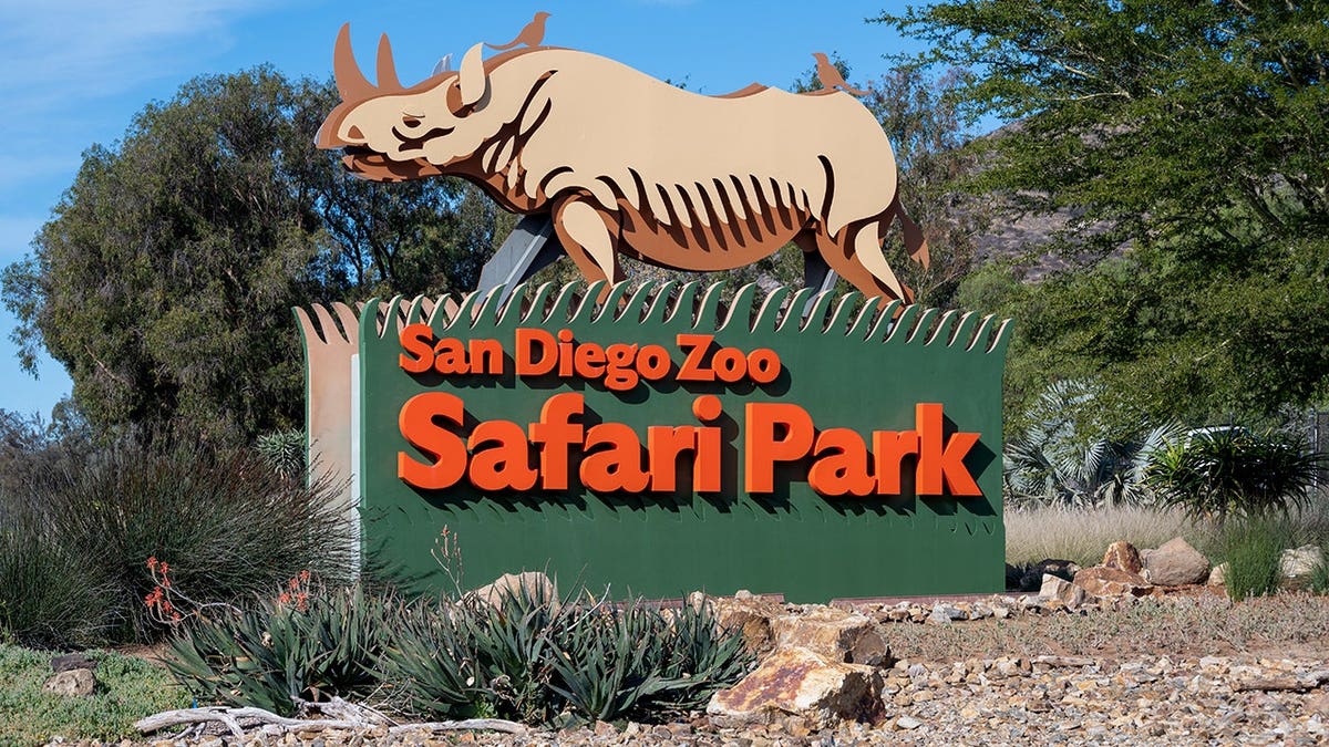 Entrance sign for the San Diego Zoo Safari Park displayed outdoors.