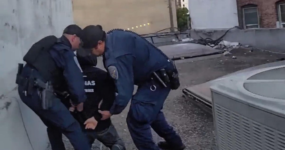 San Francisco animal cruelty suspect arrested