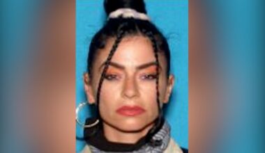 Woman charged in Santa Monica attempted kidnapping is missing – NBC Los Angeles