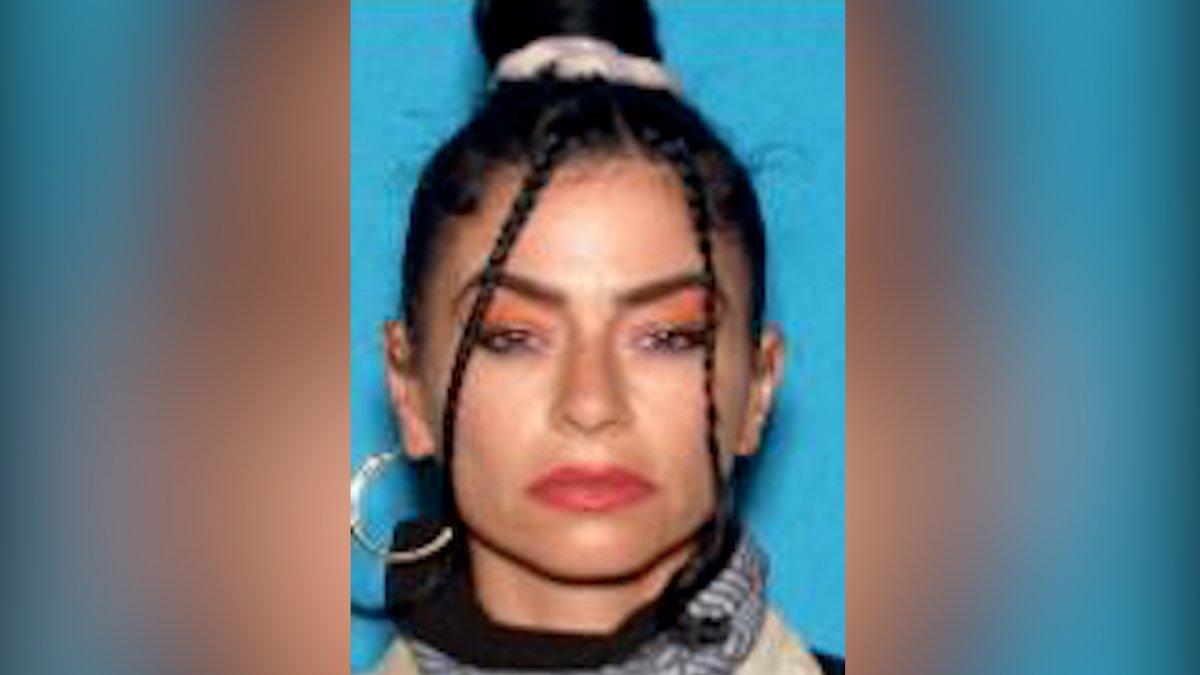Woman charged in Santa Monica attempted kidnapping is missing – NBC Los Angeles