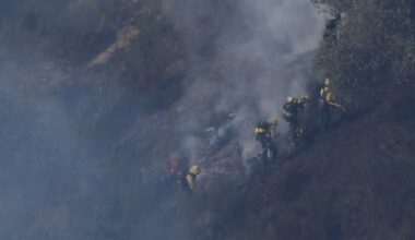 Vegetation fire burns in Mill Valley neighborhood