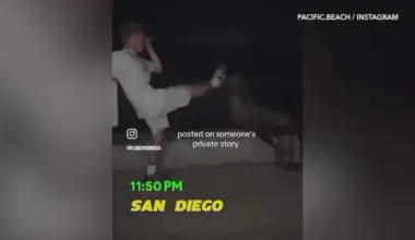 Authorities Investigating Social Media Video of San Diego Man Appearing to Kick Sea Lion
