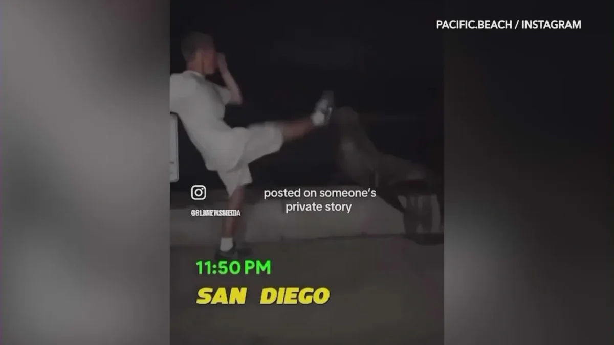 Authorities Investigating Social Media Video of San Diego Man Appearing to Kick Sea Lion