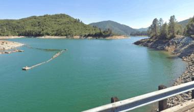 Another death at Shasta Lake: Oakland man goes missing while swimming – The Mercury News