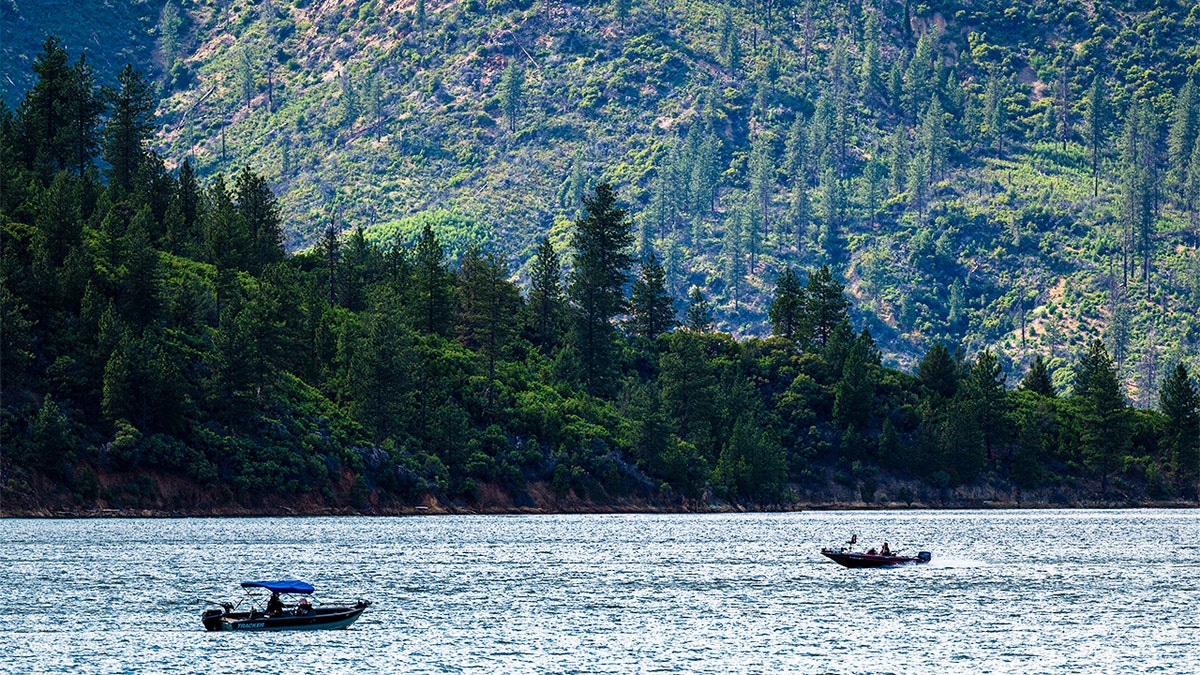 Boats on Shasta Lake in Shasta-Trinity National Forest near Shasta Lake, California, US, on Monday, June 19, 2023. 