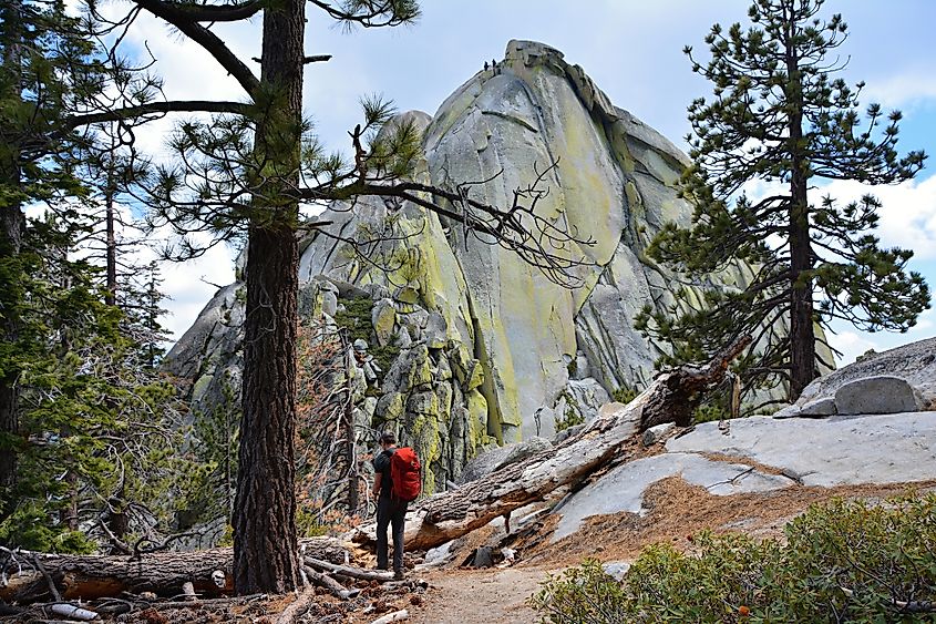 The wilderness near Needles, California.