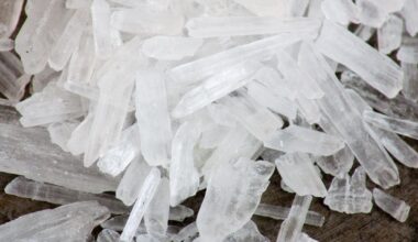 Suspect Arrested After Backpack With Meth Left In Uber
