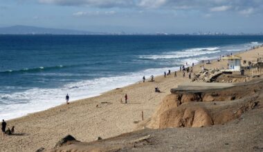 Mall Attack | Sailor Survives Month Lost At Sea | Salmonella Outbreak | Plane Lands On Beach: Patch PM