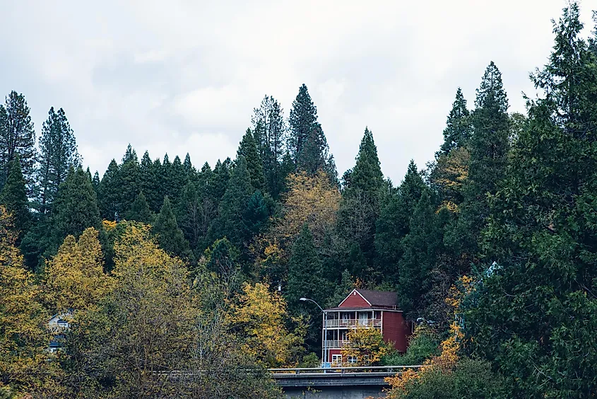 Fall colors in Nevada City, California.