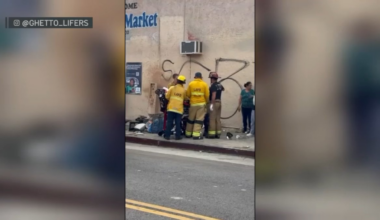 South LA street vendor in hospital after car crashed into stand – NBC Los Angeles
