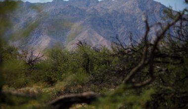 Extreme heat will scorch San Diego County deserts this week – San Diego Union-Tribune