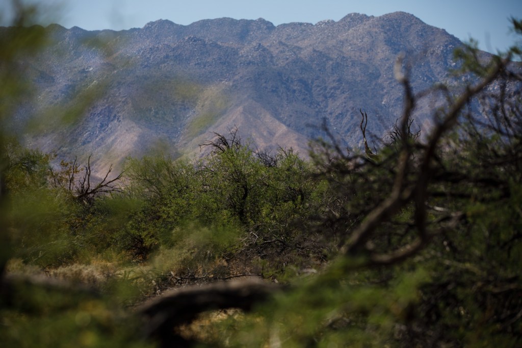 Extreme heat will scorch San Diego County deserts this week – San Diego Union-Tribune