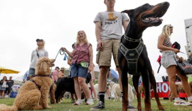 Community events in San Diego County