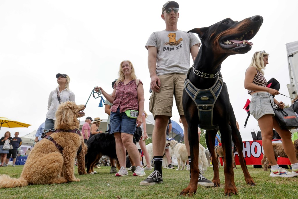 Community events in San Diego County